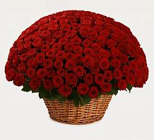 Премиум букет из: Розы в Нестерово